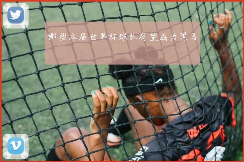 哪些本届世界杯球队有望成为黑马