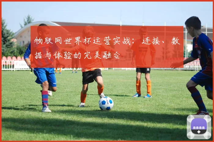 物联网世界杯运营实战:连接、数据与体验的完美融合