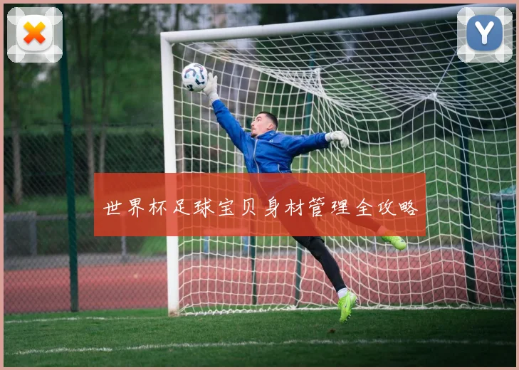 世界杯足球宝贝身材管理全攻略
