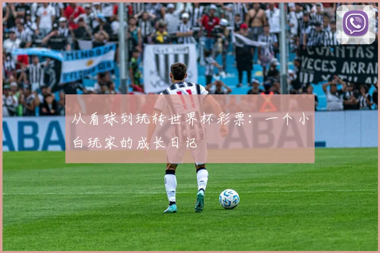 从看球到玩转世界杯彩票：一个小白玩家的成长日记