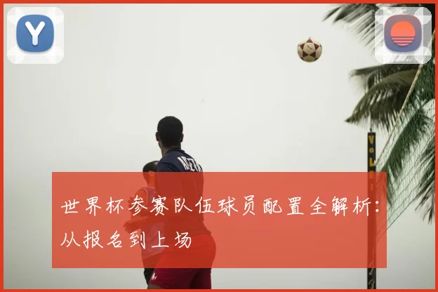世界杯参赛队伍球员配置全解析:从报名到上场