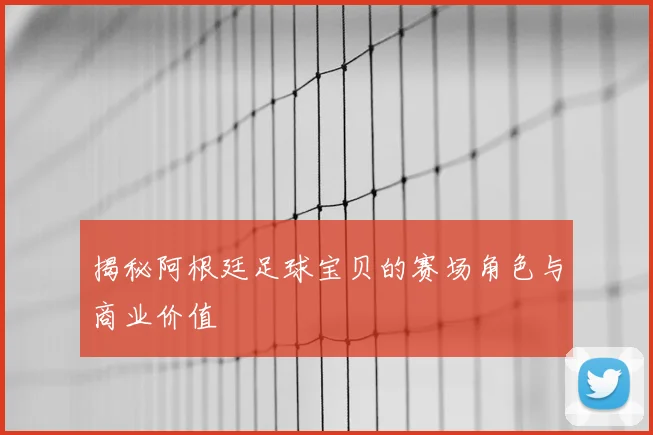 揭秘阿根廷足球宝贝的赛场角色与商业价值