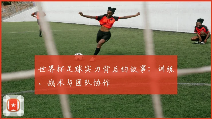 世界杯足球实力背后的故事：训练、战术与团队协作