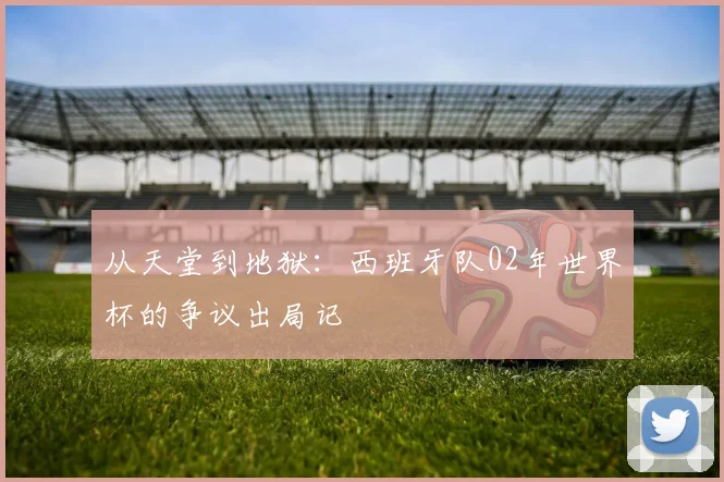 从天堂到地狱：西班牙队02年世界杯的争议出局记