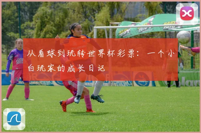 从看球到玩转世界杯彩票：一个小白玩家的成长日记