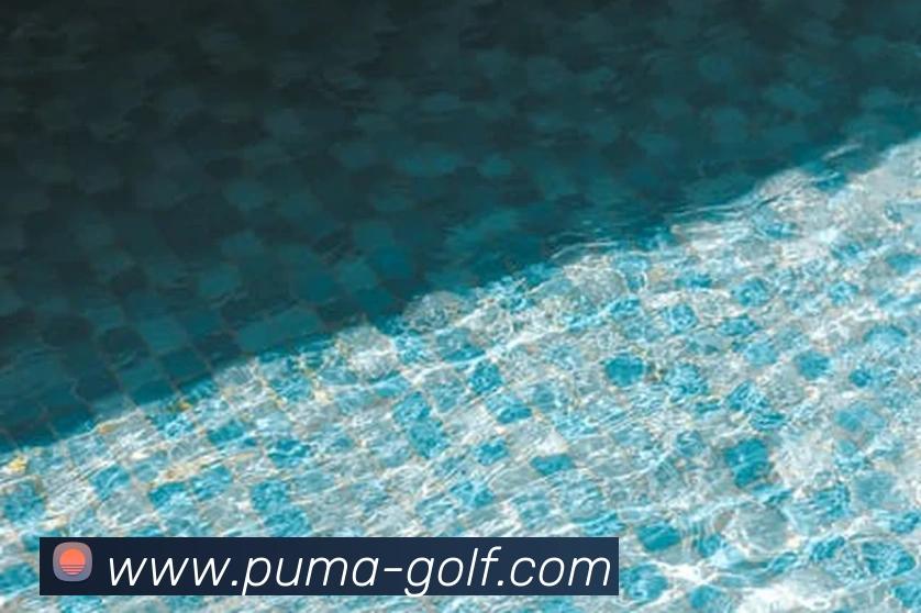 beat365唯一官网平台生态图